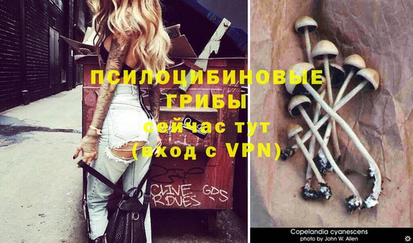 мескалин Зерноград