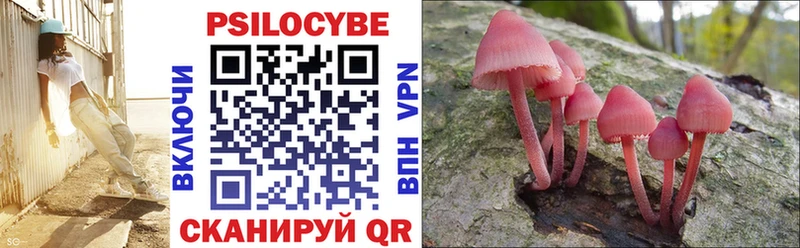 Псилоцибиновые грибы Magic Shrooms  цены наркотик  Новый Уренгой 